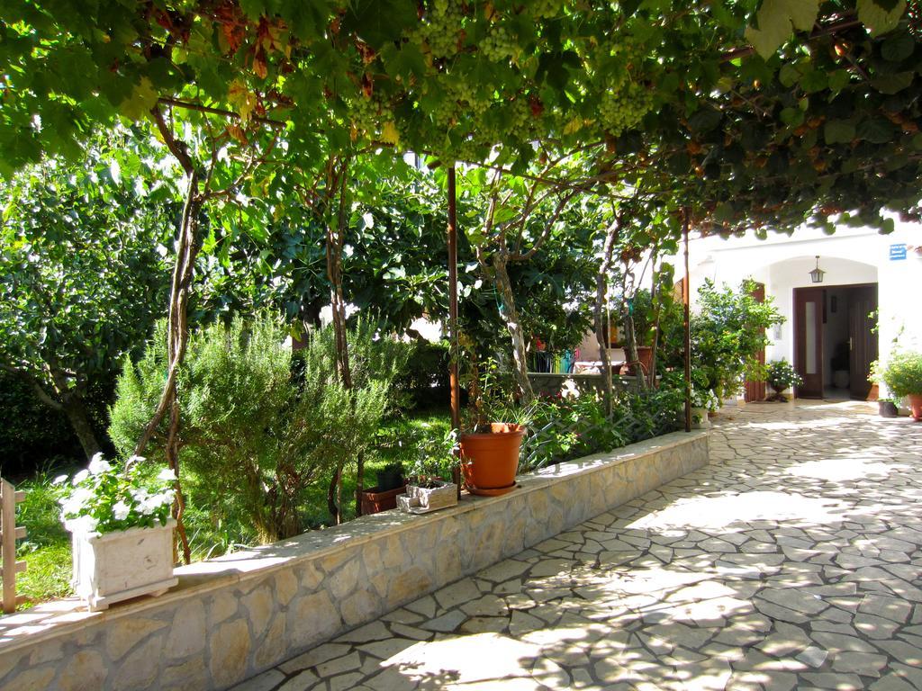Olea Poreč